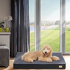 BingoPaw Pillow Dog Bed with Removable Cover, Black, X-Large