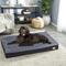 Show in main carousel: BingoPaw Pillow Dog Bed with Removable Cover, Black, X-Large slide 3 of 10