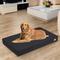Show in main carousel: BingoPaw Pillow Dog Bed with Removable Cover, Black, X-Large slide 7 of 10