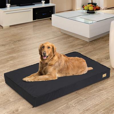 Show full view: BingoPaw Pillow Dog Bed with Removable Cover, Black, X-Large slide 7 of 10