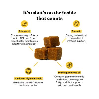 Show full view: Embark Allergy Bacon Flavored Soft Chew Skin & Coat Supplement for Dogs, 90 count slide 4 of 8