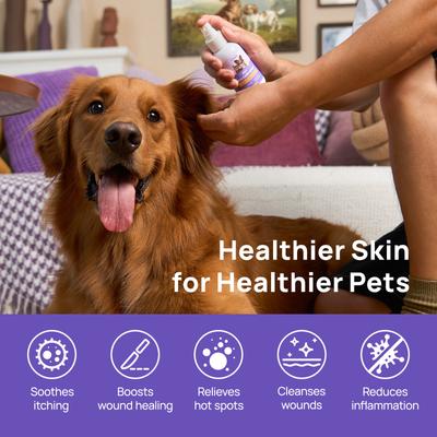 Show full view: HICC PET Dog Skin Care Spray, 3.4-fl oz bottle slide 3 of 9