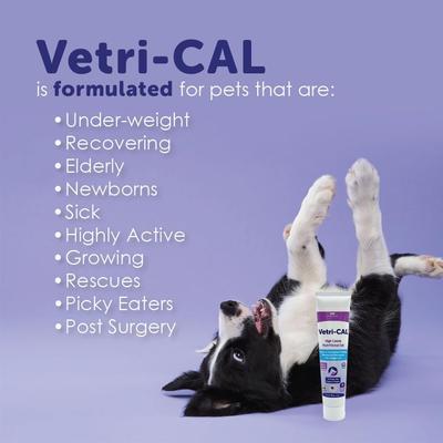 Show full view: Vetri-CAL High Calorie Nutritional Gel for Dogs & Cats, 5-oz tube slide 8 of 10