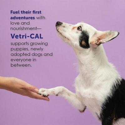 Show full view: Vetri-CAL High Calorie Nutritional Gel for Dogs & Cats, 5-oz tube slide 5 of 10
