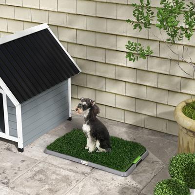 Show full view: PawHut Indoor Outdoor Dog Grass Pad with Tray & 2 Artificial Washable Grass Pee Pads, 26 x 16-in slide 2 of 9