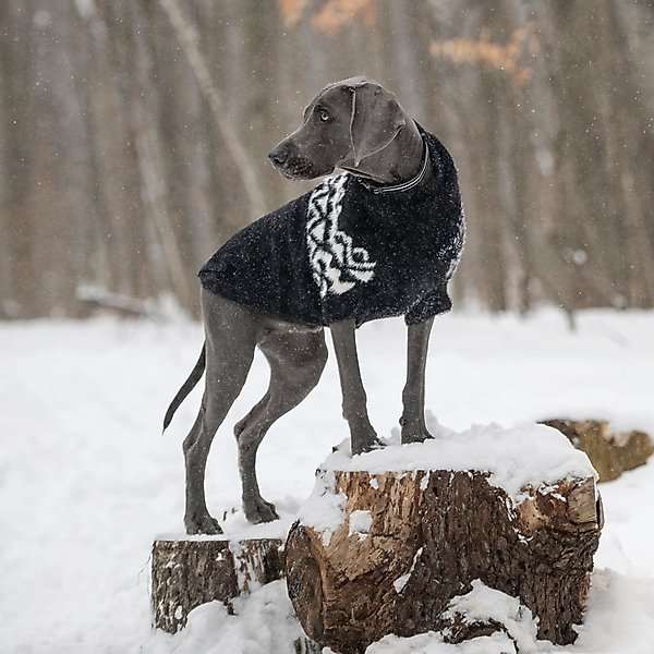 Show full view: GF Pet Fuzzy Dog Sweater, Black, X-Small slide 5 of 9