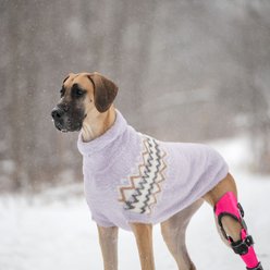 GF Pet Fuzzy Dog Sweater, Lavender, Medium slide 2 of 7