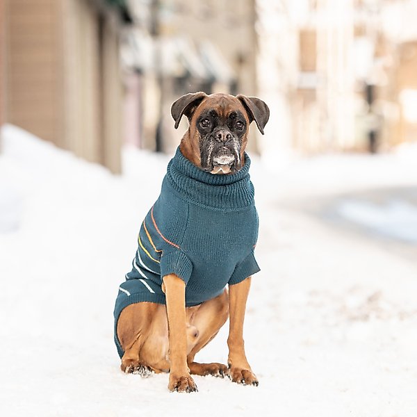 Show full view: GF Pet Arctic Dog Sweater, Teal, Small slide 5 of 6