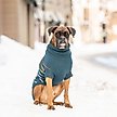 Show in main carousel: GF Pet Arctic Dog Sweater, Teal, Small slide 5 of 6