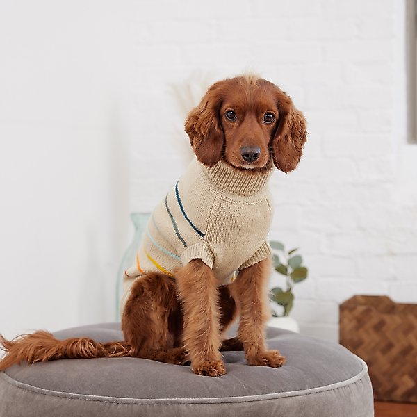 Show full view: GF Pet Arctic Dog Sweater, Sand, XXX-Large slide 4 of 5