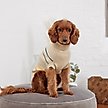 Show in main carousel: GF Pet Arctic Dog Sweater, Sand, XXX-Large slide 4 of 5