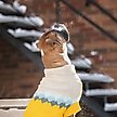Show in main carousel: GF Pet Fireside Dog Sweater, Yellow, XXXX-Large slide 5 of 6