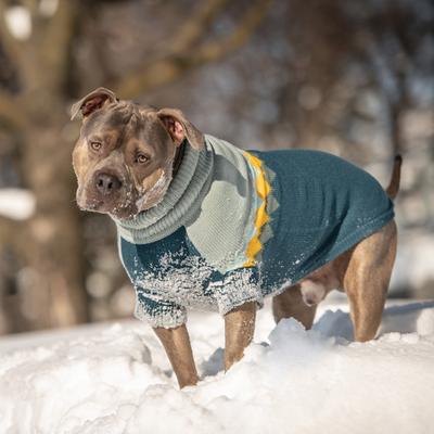 Show full view: GF Pet Fireside Dog Sweater, Teal, Large slide 5 of 7