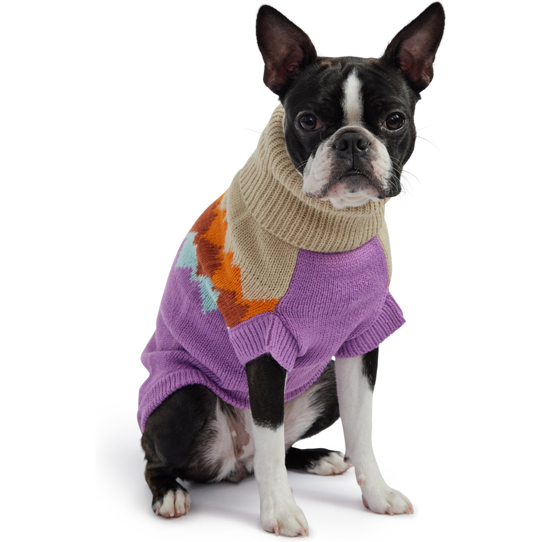 GF Pet Fireside Dog Sweater, Purple, Medium