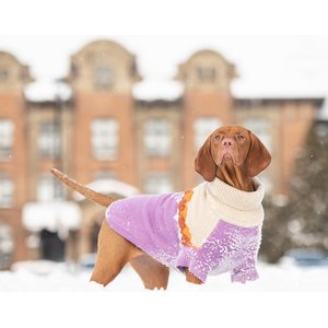 GF Pet Fireside Dog Sweater, Purple, Medium