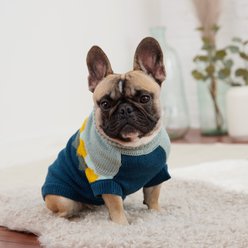 GF Pet Fireside Dog Sweater, Teal, Small slide 2 of 6