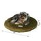 Show in main carousel: Armarkat Pet Bed Pad, Sage Green slide 6 of 11