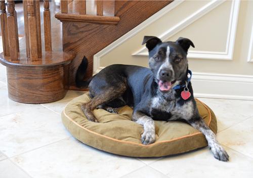 Show full view: Armarkat Pet Bed Pad, Sage Green slide 3 of 11