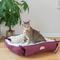 Show in main carousel: Armarkat Bolster Cat & Dog Bed, Burgundy/Ivory slide 8 of 11