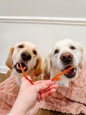 Show full view: Rena's Recipe Chicken Fillet Slices Dog Jerky Treats, 16-oz bag, 4 count slide 8 of 11