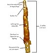 Show in main carousel: Rena's Recipe Chicken Twisty Sticks Dog Chew Treats, 8-oz bag, 1 count slide 5 of 8