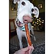 Show in main carousel: Rena's Recipe Chicken Fillet Sticks Dog Chew Treats, 8 count slide 7 of 8
