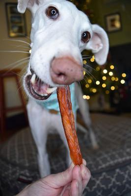 Show full view: Rena's Recipe Chicken Fillet Sticks Dog Chew Treats, 8 count slide 7 of 8