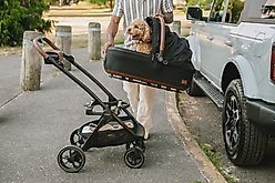 Tavo Pets Maeve + Roscoe 3-in-1 Dog & Cat Car Seat Travel System, Onyx, 6X slide 2 of 8