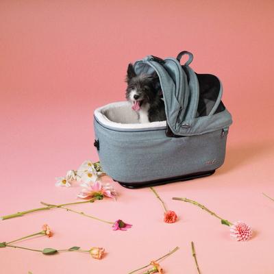 Show full view: Tavo Pets Maeve + Roscoe 3-in-1 Dog & Cat Car Seat Travel System, Skye, 5X slide 2 of 9