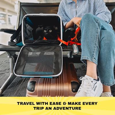 Show full view: Travel Cat Soft Cat Carrier, Blue slide 2 of 9