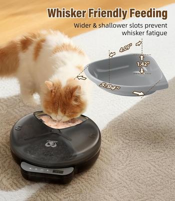 Show full view: Casfuy 4-Meal Automatic Cat Feeder for Wet & Dry Food, Black slide 3 of 9