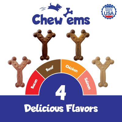 Show full view: Chew'ems Y Bone Dog Toy, Beef, Small slide 4 of 7