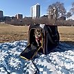 Show in main carousel: Travel Cat Collapsible Cat Carrier, Black slide 8 of 10