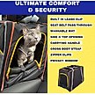 Show in main carousel: Travel Cat Collapsible Cat Carrier, Black slide 3 of 10