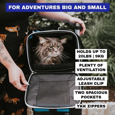 Show full view: Travel Cat Soft Cat Carrier, Blue slide 4 of 9