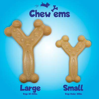 Show full view: Chew'ems Y Bone Dog Toy, Salmon, Large slide 4 of 9