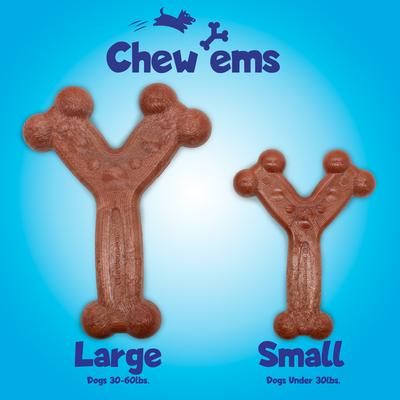 Show full view: Chew'ems Y Bone Dog Toy, Beef, Small slide 3 of 7