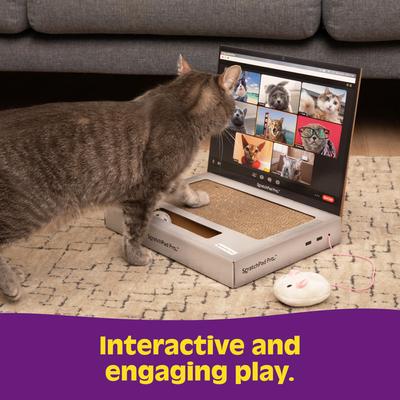 Show full view: Relatable ScratchPad Pro Cat Scratcher Toy slide 3 of 10