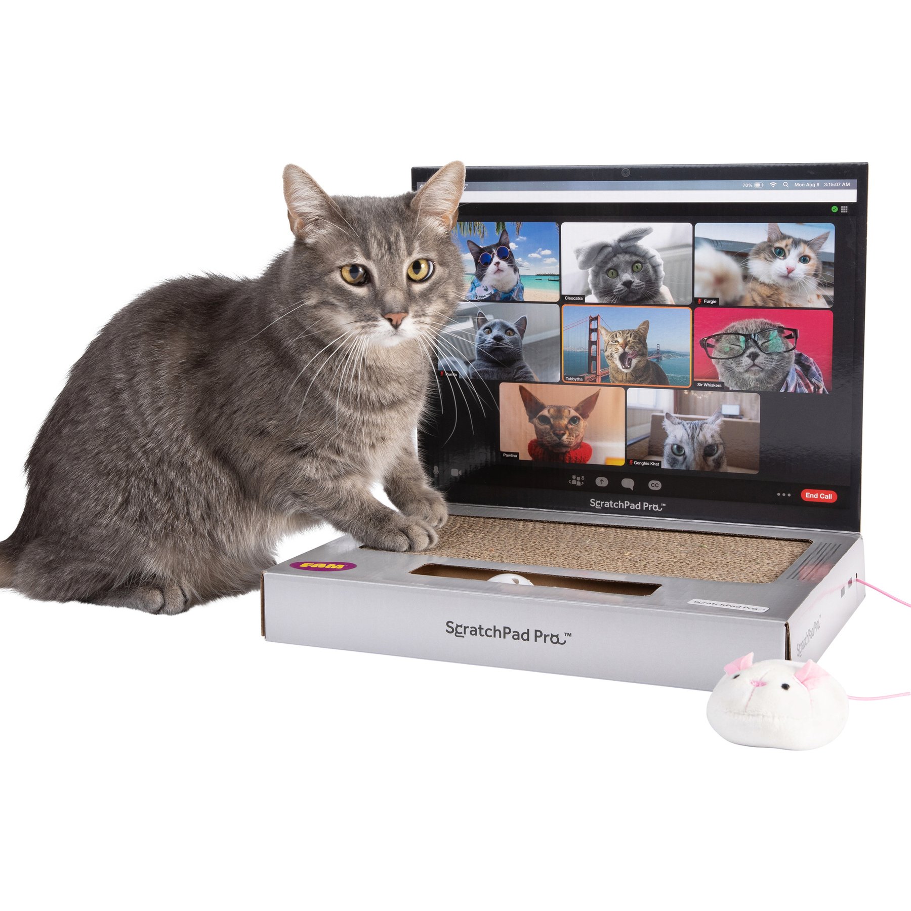 Relatable ScratchPad Pro Cat Scratcher Toy