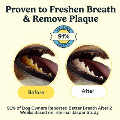 Show full view: Jasper Coconut Scented Dog Dental Wipes, 60 count slide 4 of 8