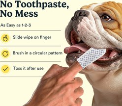 Jasper Coconut Scented Dog Dental Wipes, 60 count slide 2 of 7