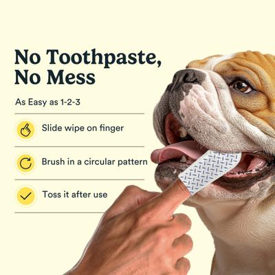 Show full view: Jasper Coconut Scented Dog Dental Wipes, 60 count slide 3 of 8