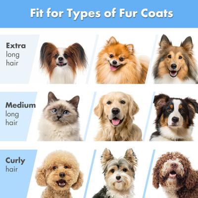 Show full view: Neakasa P2 Pro 5-in-1 Dog & Cat Grooming Vacuum Kit, Blue slide 8 of 10