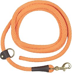 Mendota Pet EZ Trainer Dog Leash, Orange, 8-ft long, 1/2-in wide