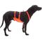 Show in main carousel: Mendota Pet Skid Plate Dog Harness, Orange, Small: 20 to 28-in chest slide 2 of 2