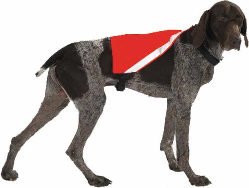 Show full view: Mendota Pet Visi-Vest Dog Harness, Orange, Small: 17 to 15-in chest slide 2 of 2