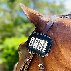Ace Equestrian PRO4MANCE Horse Number I.D. 4-Digit, Black