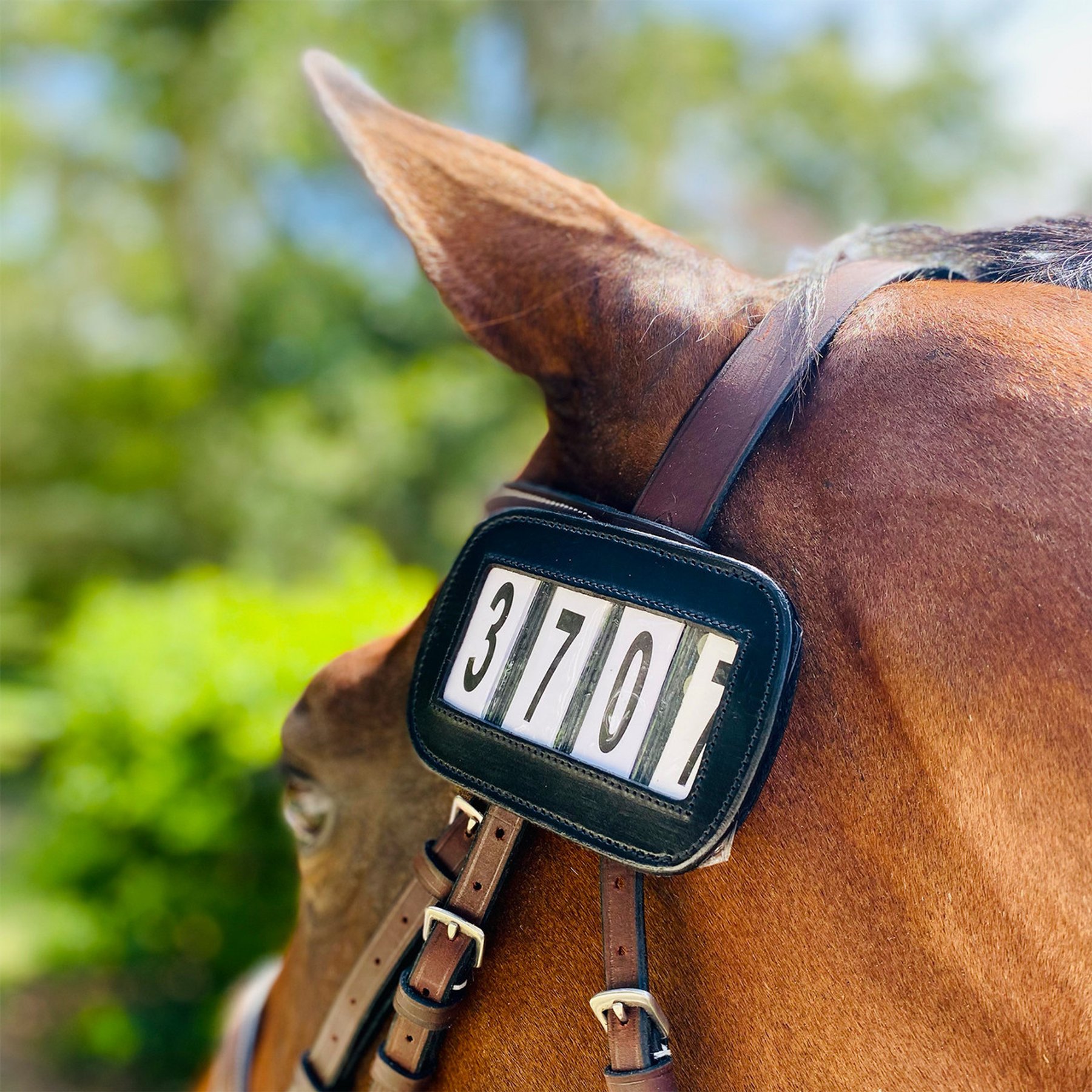 Ace Equestrian PRO4MANCE Horse Number I.D. 4-Digit, Black