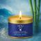Show in main carousel: HOLI All Natural Soy Wax Pet Odor Elimination Candle, Ocean Mist, 12-oz slide 6 of 6