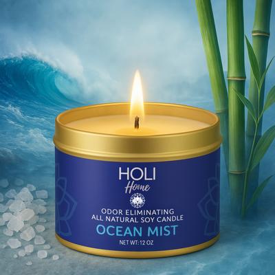 Show full view: HOLI All Natural Soy Wax Pet Odor Elimination Candle, Ocean Mist, 12-oz slide 6 of 6
